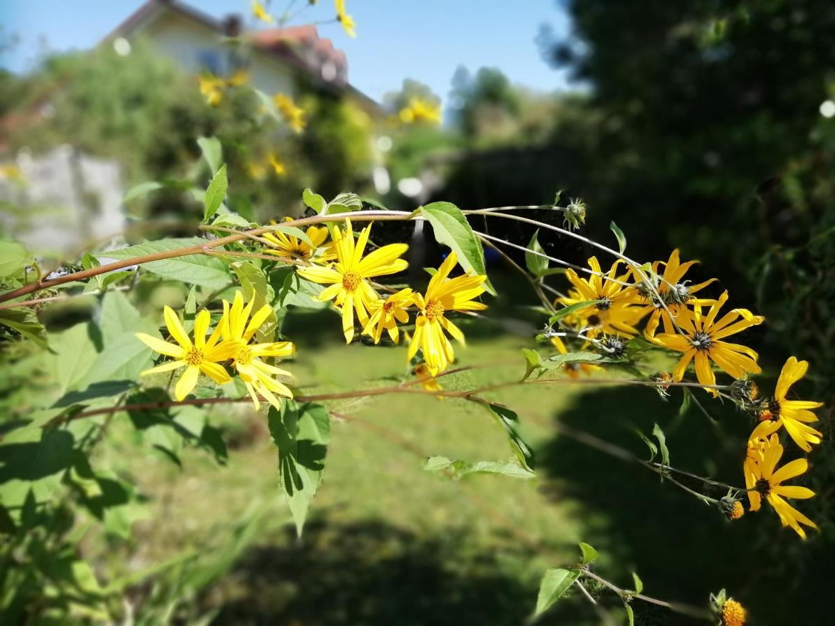 Happy Place In Traumhafter Lage Nah Apartment Utting am Ammersee